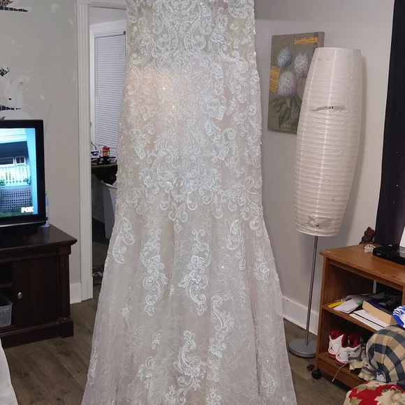 Elegant Cream Lace Wedding Dress - Picture 7 of 10